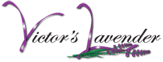 Victor's Lavender Logo